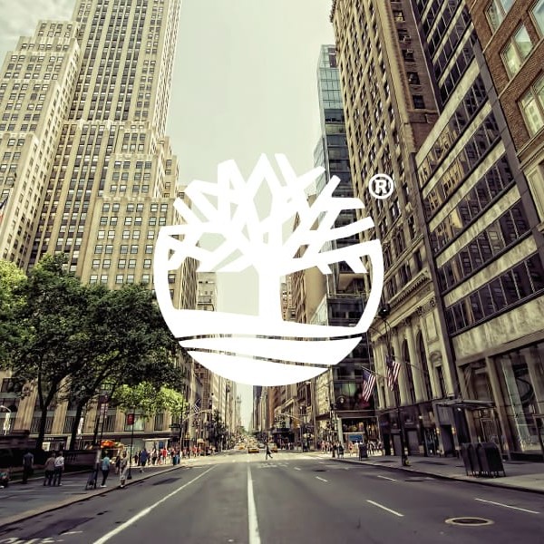 TIMBERLAND FLEX IN THE CITY